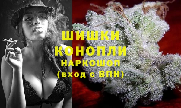 амф Осинники