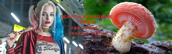 дурь Алексин