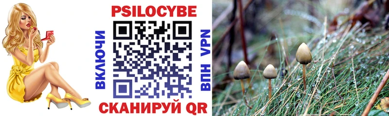 Псилоцибиновые грибы Psilocybe  Тырныауз 